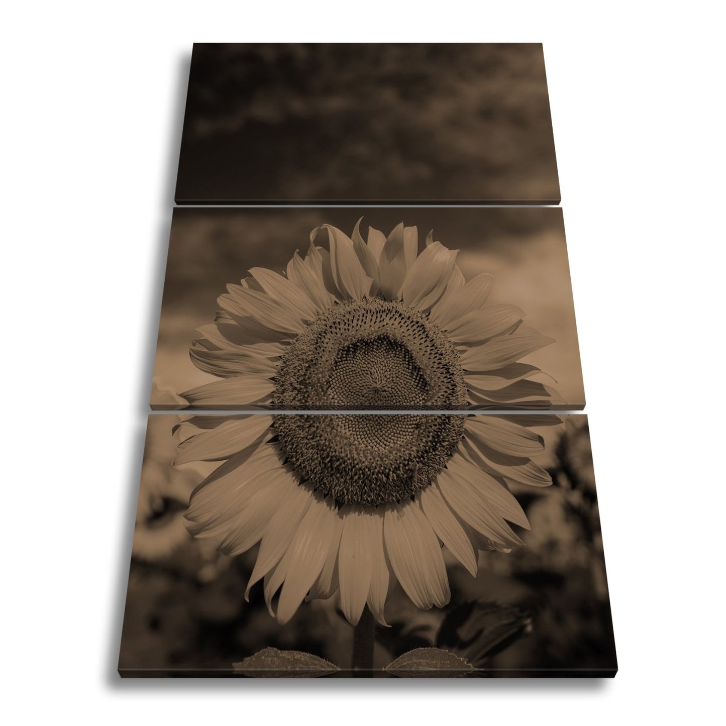 Leinwandbild XXL Sonnenblume Himmel – Dramatisch - deyoli