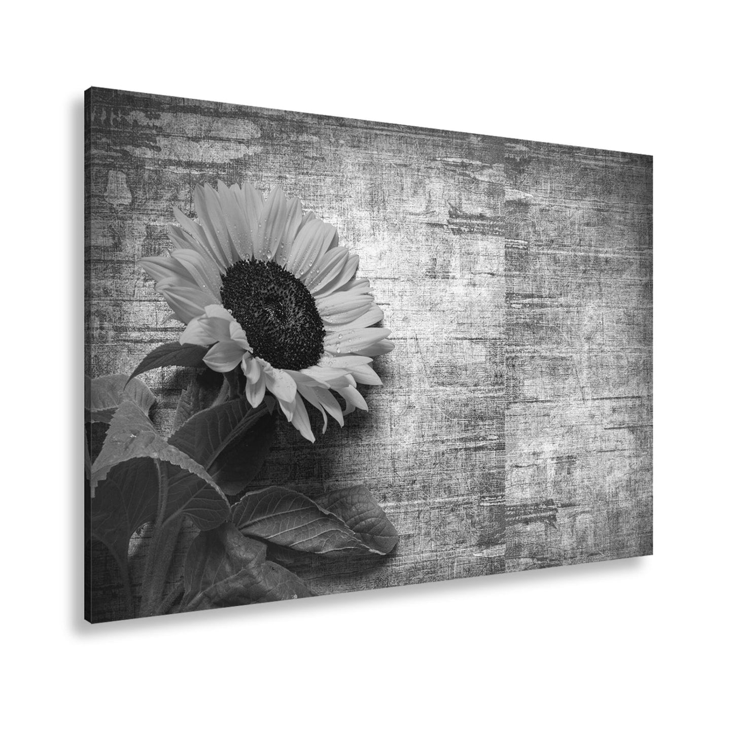 Leinwandbild XXL Sonnenblume Holz – Vintage Landhaus - deyoli