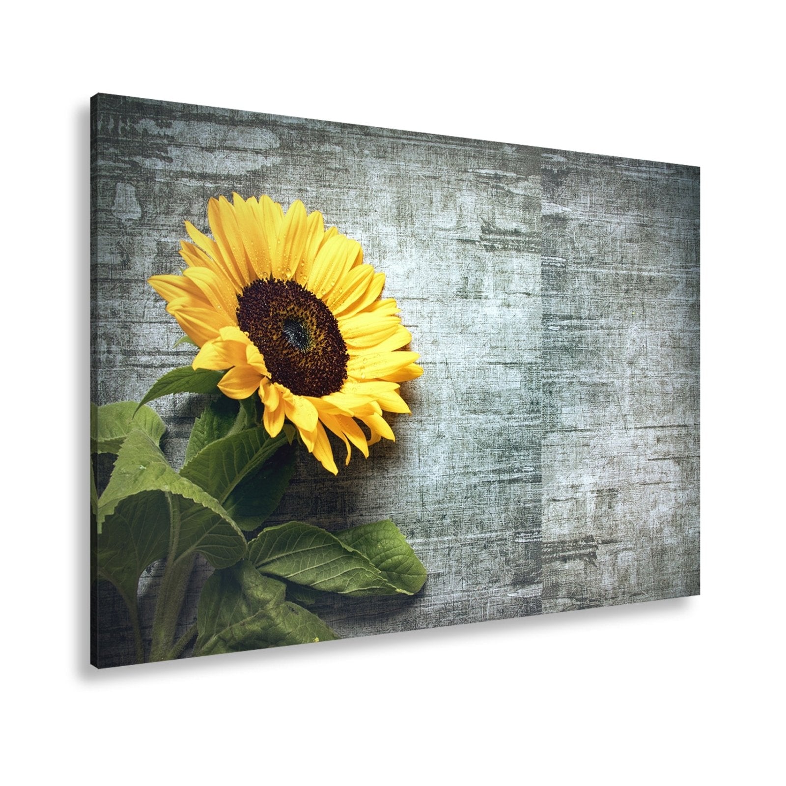 Leinwandbild XXL Sonnenblume Holz – Vintage Landhaus - deyoli