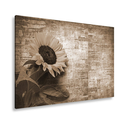 Leinwandbild XXL Sonnenblume Holz – Vintage Landhaus - deyoli