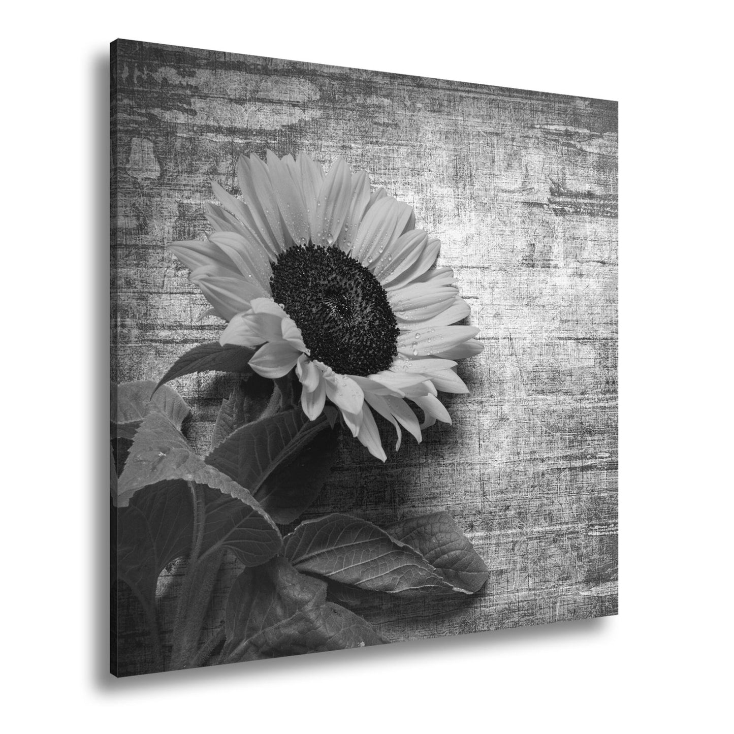 Leinwandbild XXL Sonnenblume Holz – Vintage Landhaus - deyoli