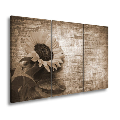 Leinwandbild XXL Sonnenblume Holz – Vintage Landhaus - deyoli