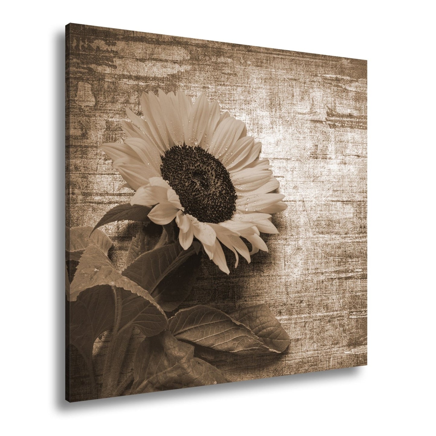 Leinwandbild XXL Sonnenblume Holz – Vintage Landhaus - deyoli