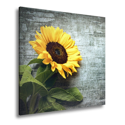 Leinwandbild XXL Sonnenblume Holz – Vintage Landhaus - deyoli