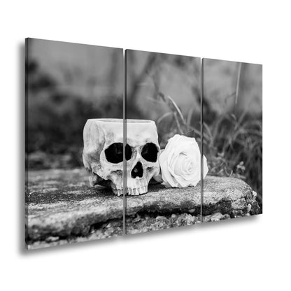 Leinwandbild XXL Totenkopf – Ein leerer Blick mit weißer Rose - deyoli