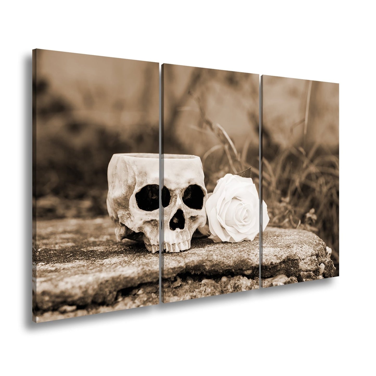 Leinwandbild XXL Totenkopf – Ein leerer Blick mit weißer Rose - deyoli