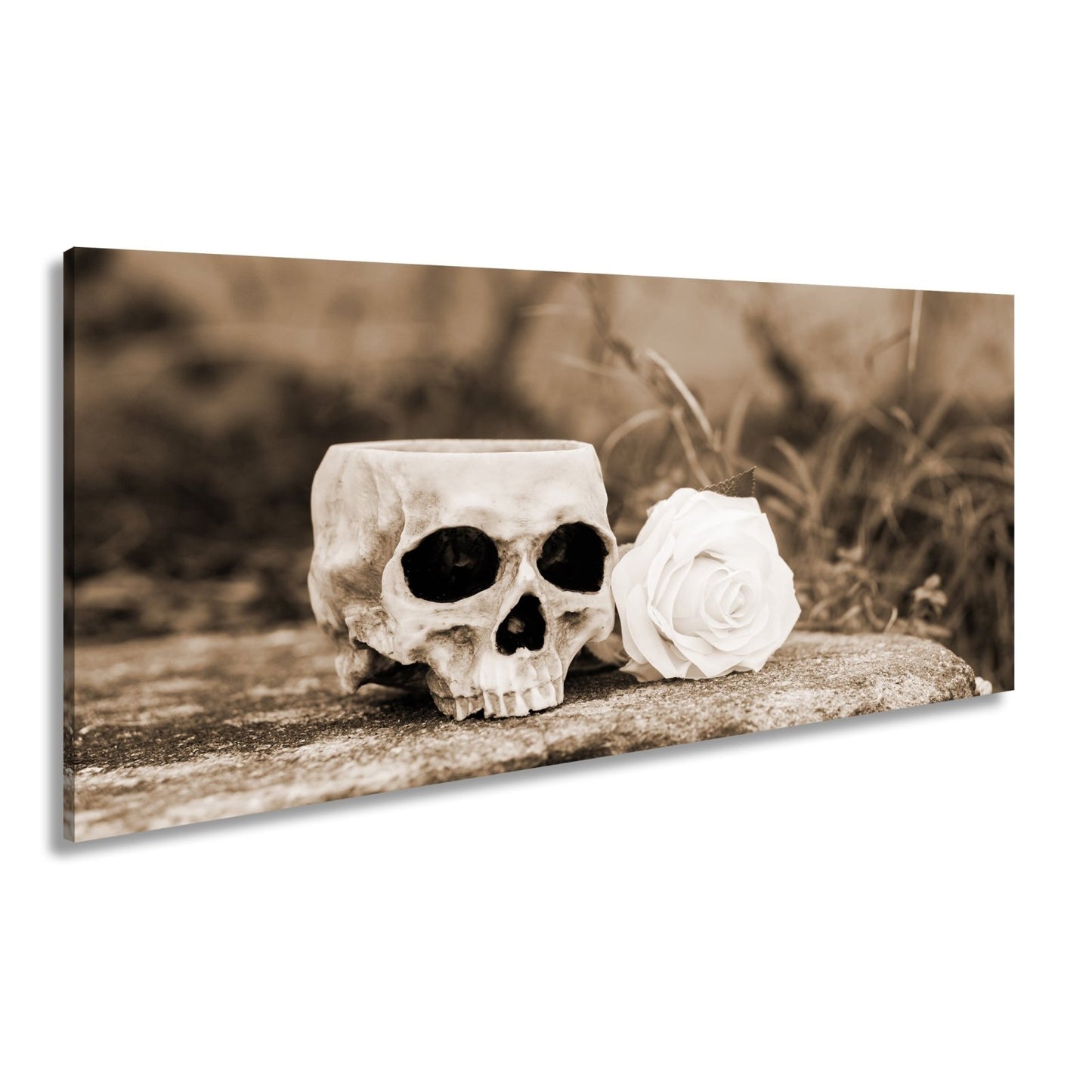 Leinwandbild XXL Totenkopf – Ein leerer Blick mit weißer Rose - deyoli
