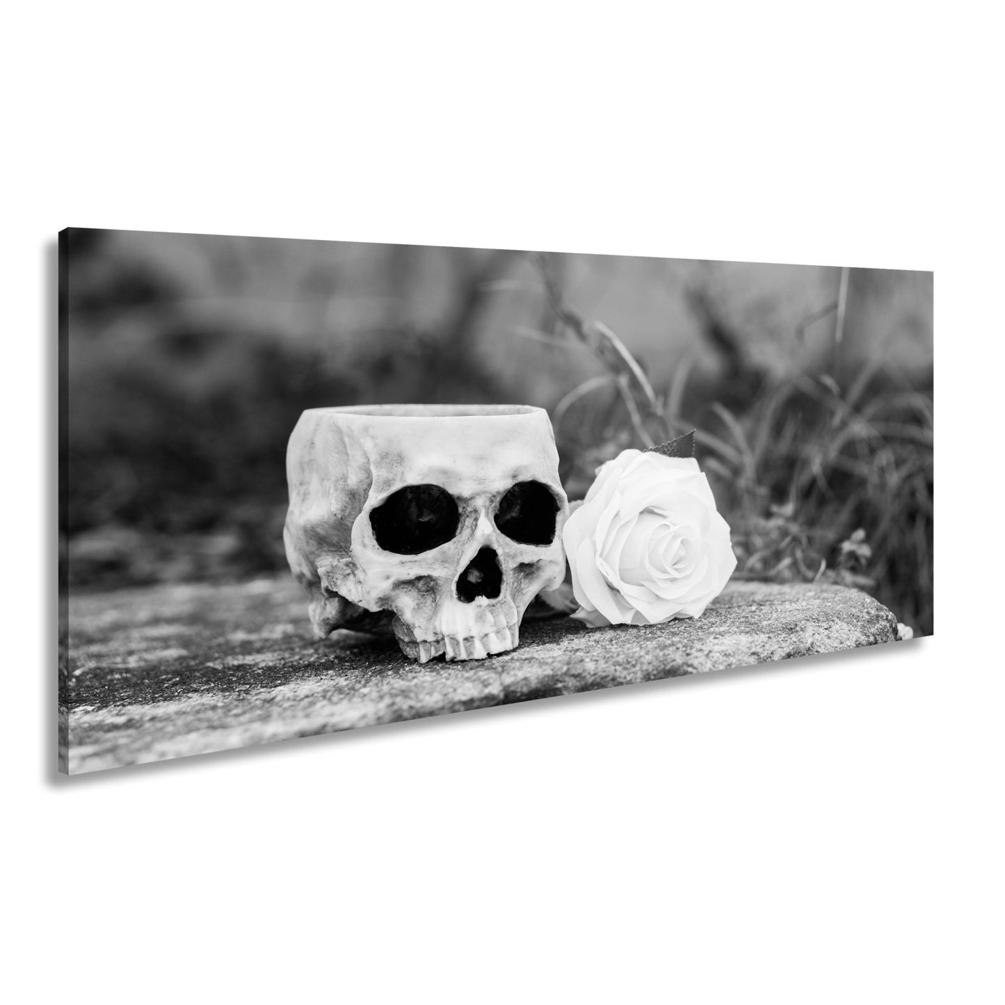 Leinwandbild XXL Totenkopf – Ein leerer Blick mit weißer Rose - deyoli