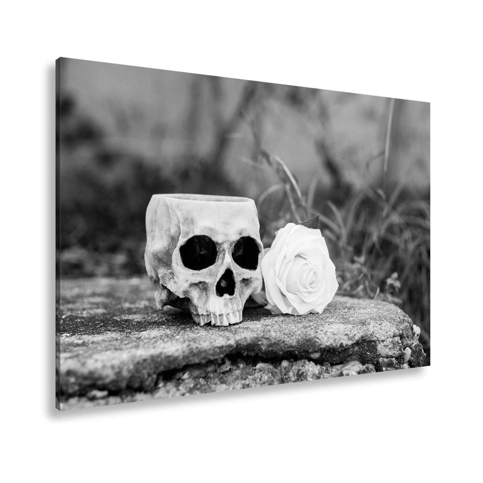 Leinwandbild XXL Totenkopf – Ein leerer Blick mit weißer Rose - deyoli