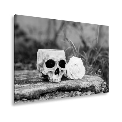 Leinwandbild XXL Totenkopf – Ein leerer Blick mit weißer Rose - deyoli