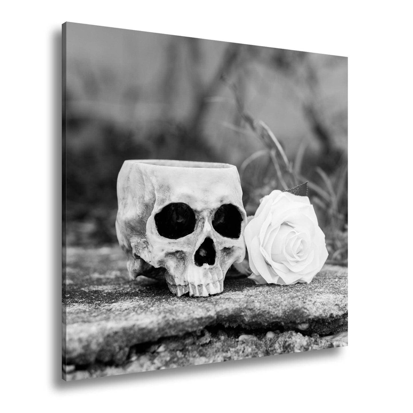 Leinwandbild XXL Totenkopf – Ein leerer Blick mit weißer Rose - deyoli