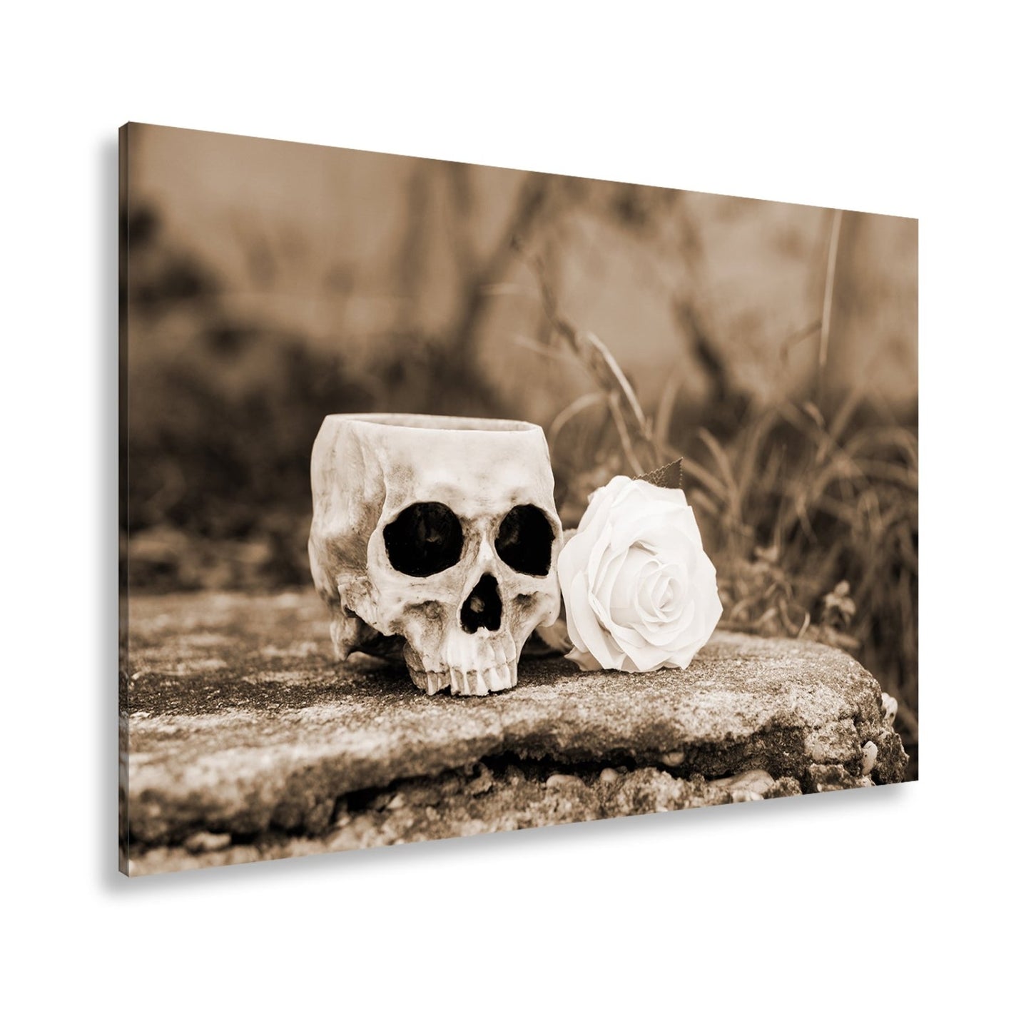 Leinwandbild XXL Totenkopf – Ein leerer Blick mit weißer Rose - deyoli
