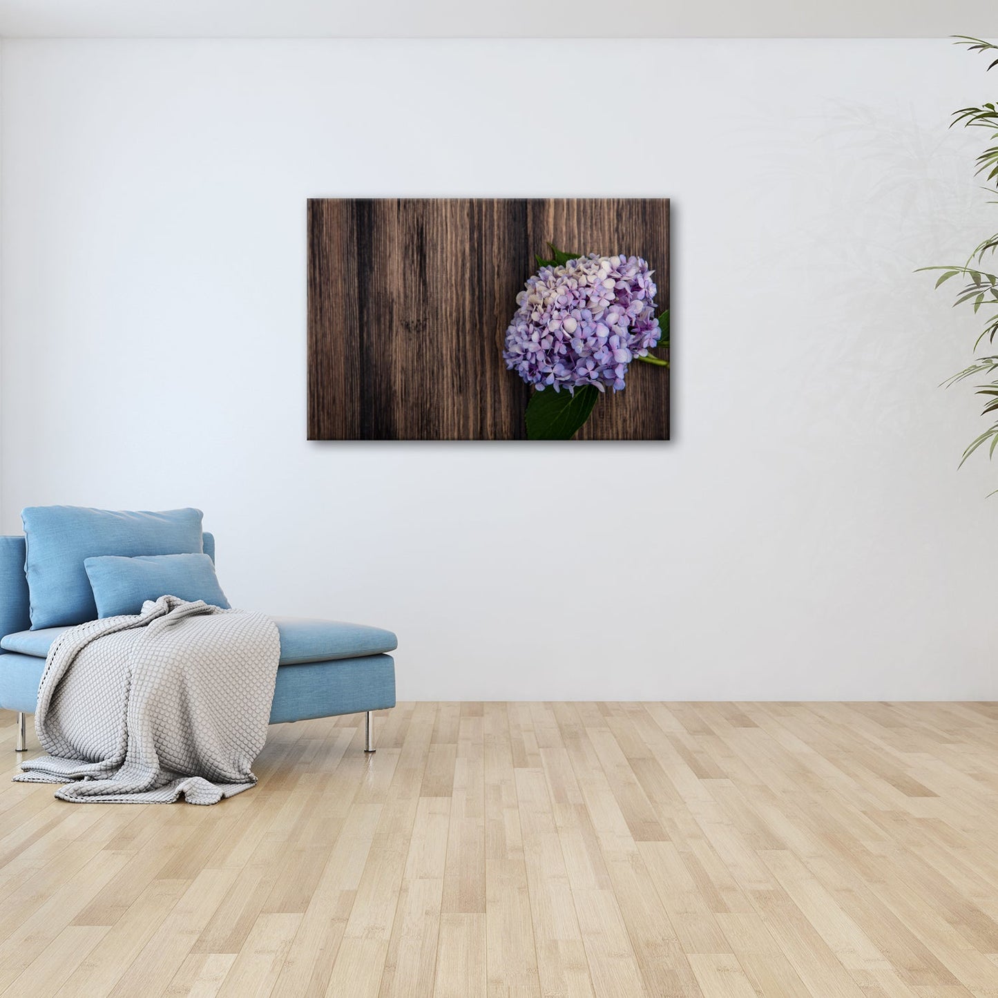 Leinwandbild Zarte Hortensie ruht in pastellfarbenem Glanz auf Holz - deyoli