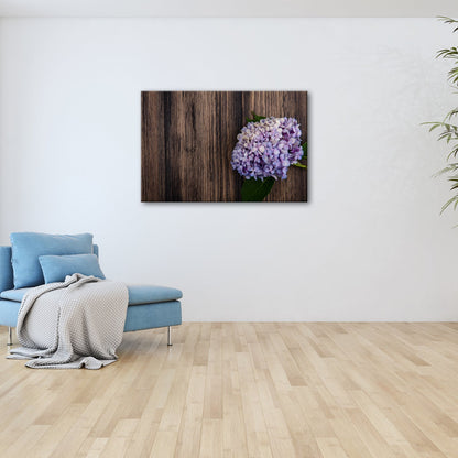 Leinwandbild Zarte Hortensie ruht in pastellfarbenem Glanz auf Holz - deyoli