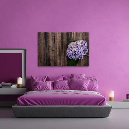 Leinwandbild Zarte Hortensie ruht in pastellfarbenem Glanz auf Holz - deyoli