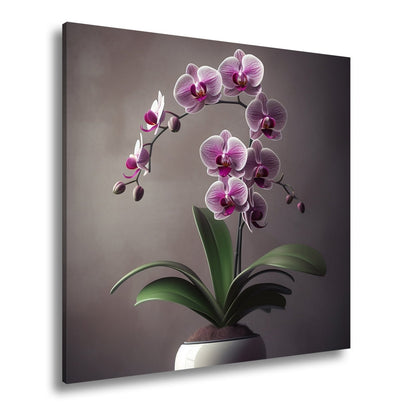 Leinwandbild Zarte Orchidee erblüht elegant im sanften Studiolicht - deyoli