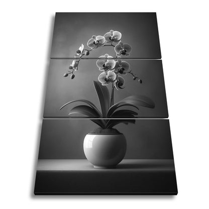 Leinwandbild Zarte Orchidee erblüht elegant im sanften Studiolicht - deyoli