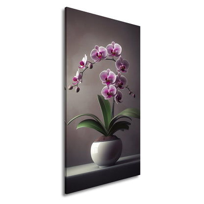 Leinwandbild Zarte Orchidee erblüht elegant im sanften Studiolicht - deyoli