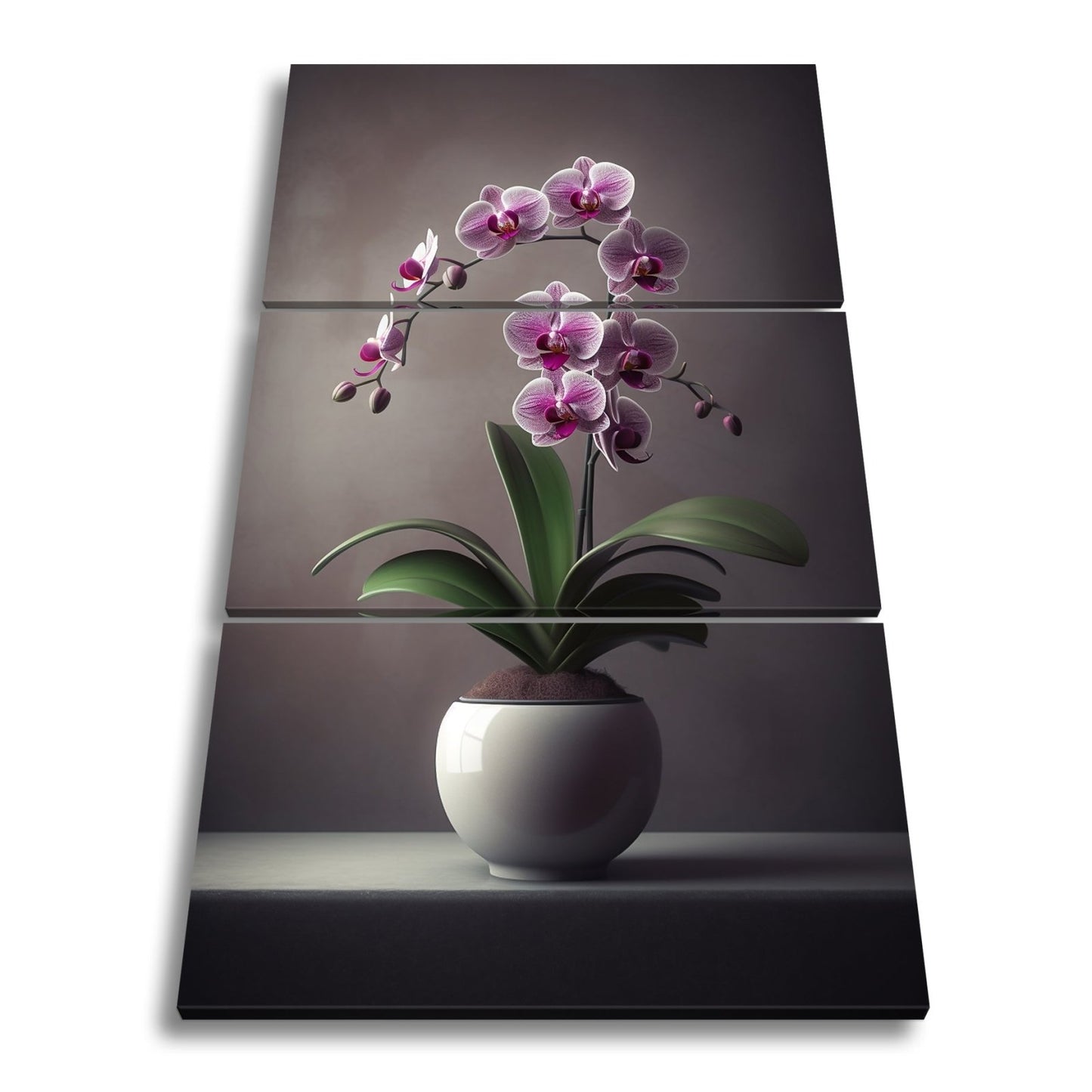 Leinwandbild Zarte Orchidee erblüht elegant im sanften Studiolicht - deyoli