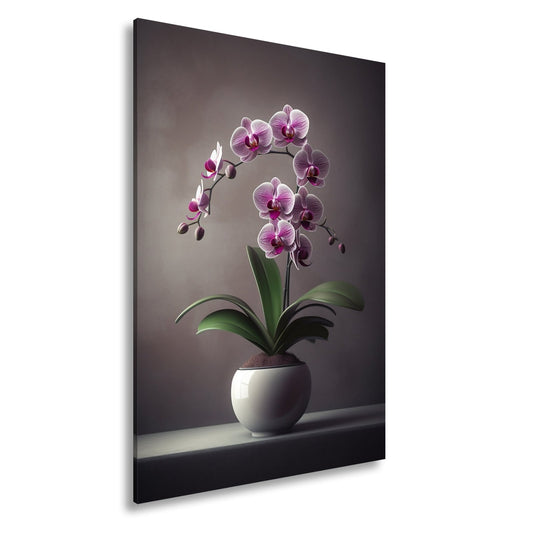 Leinwandbild Zarte Orchidee erblüht elegant im sanften Studiolicht - deyoli