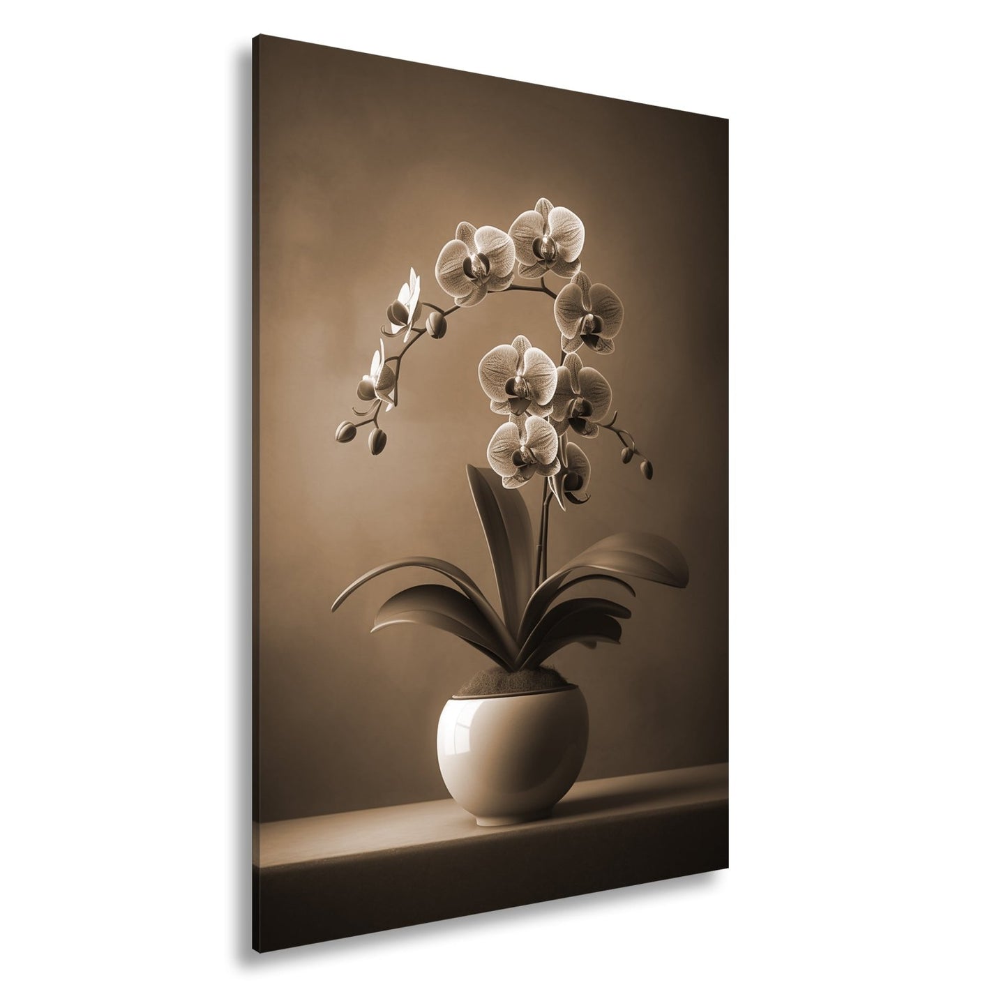 Leinwandbild Zarte Orchidee erblüht elegant im sanften Studiolicht - deyoli