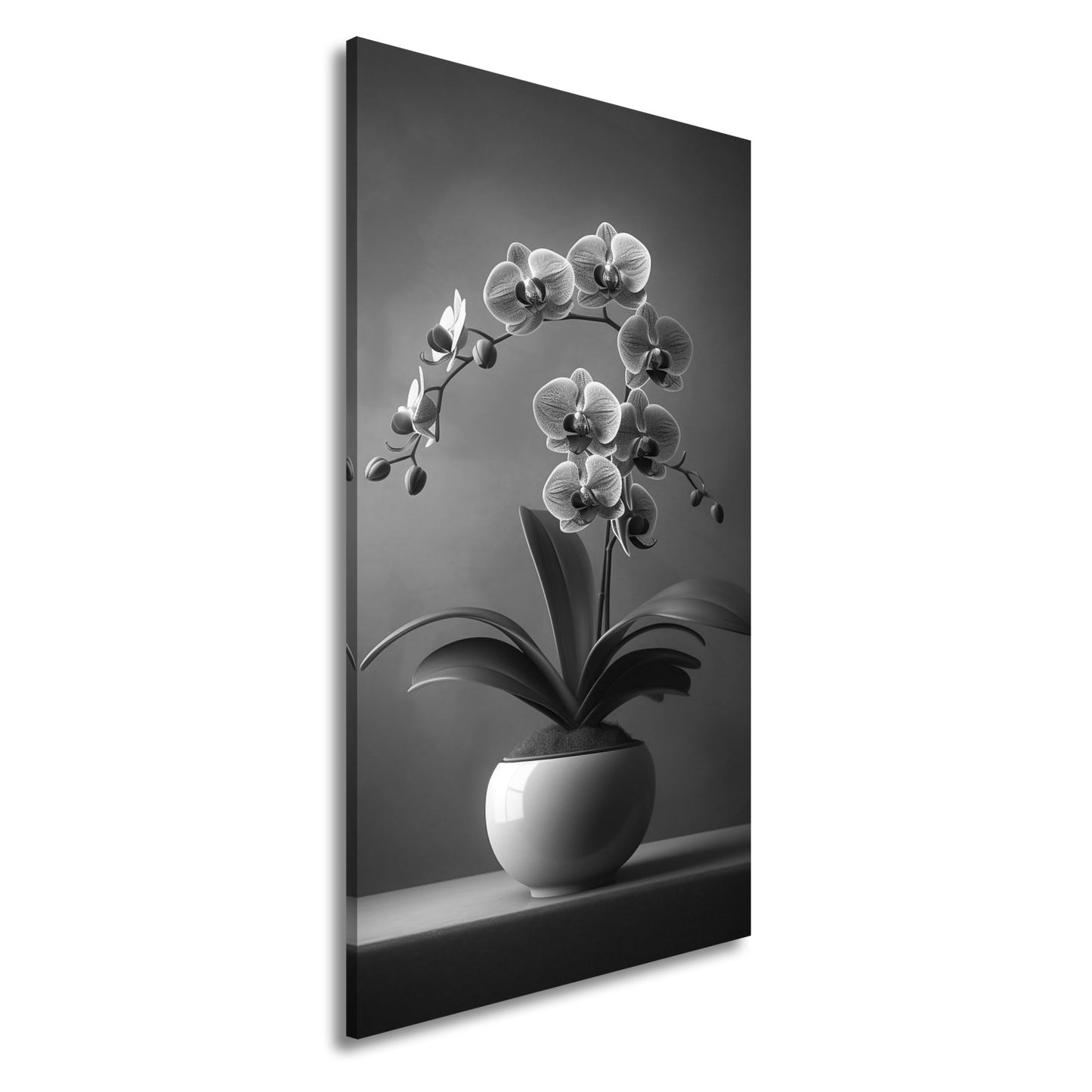 Leinwandbild Zarte Orchidee erblüht elegant im sanften Studiolicht - deyoli