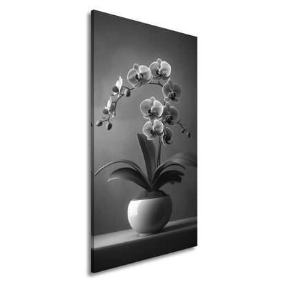 Leinwandbild Zarte Orchidee erblüht elegant im sanften Studiolicht - deyoli