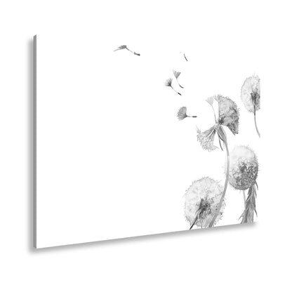 Leinwandbild Zarte Pusteblumen tanzen im Hauch der Aquarellträume. - deyoli