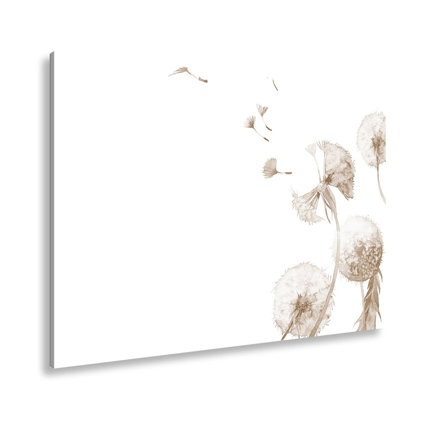 Leinwandbild Zarte Pusteblumen tanzen im Hauch der Aquarellträume. - deyoli