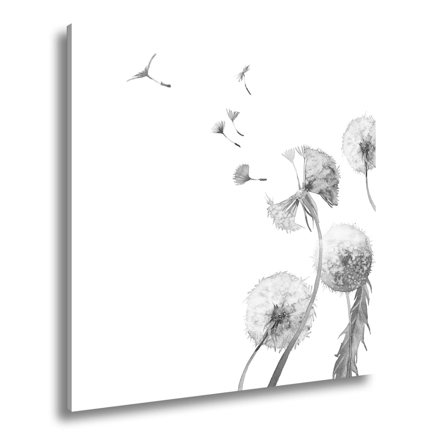 Leinwandbild Zarte Pusteblumen tanzen im Hauch der Aquarellträume. - deyoli