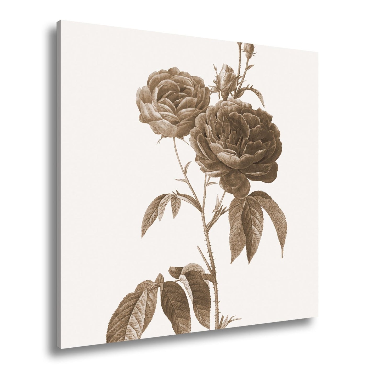 Leinwandbild Zarte Rosenblüten, klassisch illustriert in natürlicher Schönheit - deyoli