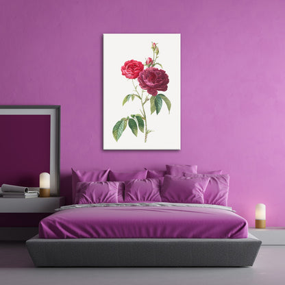 Leinwandbild Zarte Rosenblüten, klassisch illustriert in natürlicher Schönheit - deyoli