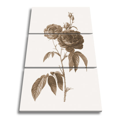 Leinwandbild Zarte Rosenblüten, klassisch illustriert in natürlicher Schönheit - deyoli