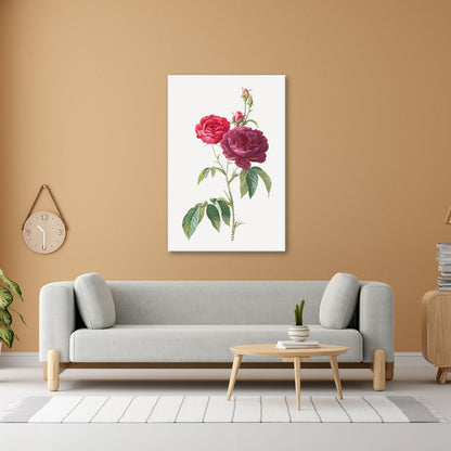 Leinwandbild Zarte Rosenblüten, klassisch illustriert in natürlicher Schönheit - deyoli