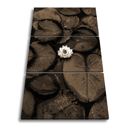 Leinwandbild Zarte Seerose ruht auf dunklem Wasser voller Stille. - deyoli