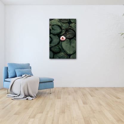 Leinwandbild Zarte Seerose ruht auf dunklem Wasser voller Stille. - deyoli