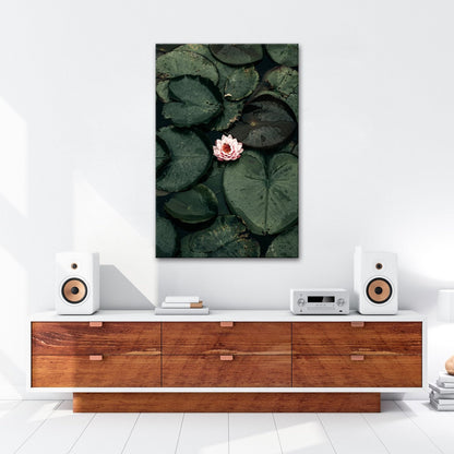 Leinwandbild Zarte Seerose ruht auf dunklem Wasser voller Stille. - deyoli