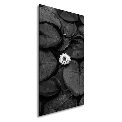 Leinwandbild Zarte Seerose ruht auf dunklem Wasser voller Stille. - deyoli