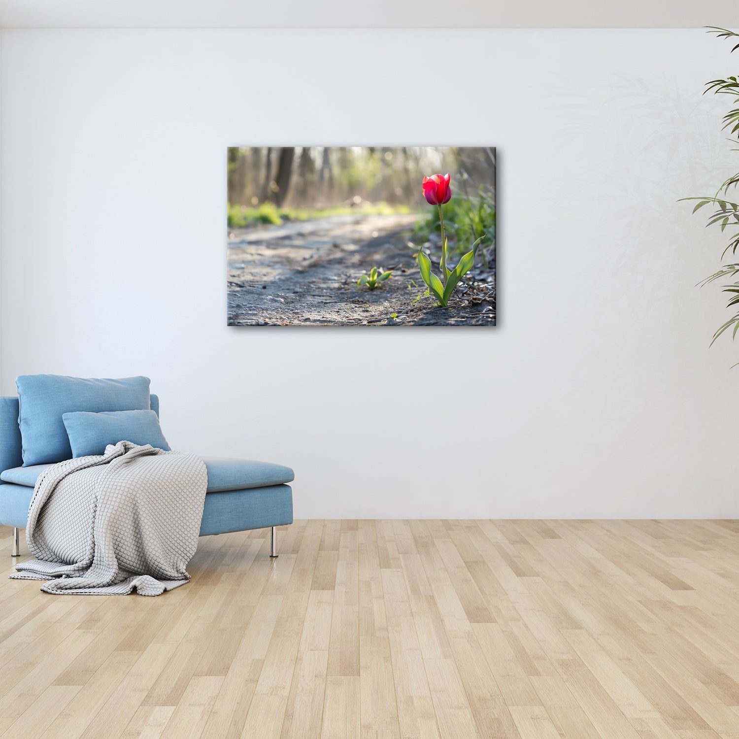 Leinwandbild Zarte Tulpe trotzt dem Morgenlicht – Blütentraum XXL - deyoli