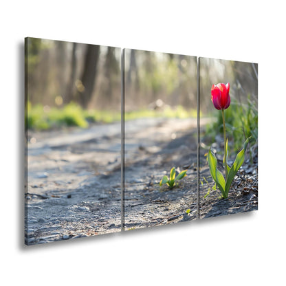 Leinwandbild Zarte Tulpe trotzt dem Morgenlicht – Blütentraum XXL - deyoli