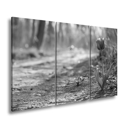 Leinwandbild Zarte Tulpe trotzt dem Morgenlicht – Blütentraum XXL - deyoli