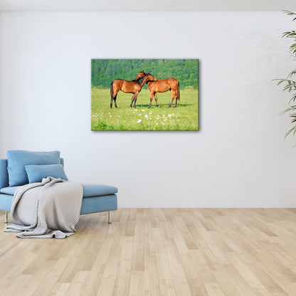 Leinwandbild Zärtliche Pferdeliebe in sommerlicher Wiesenruhe - deyoli