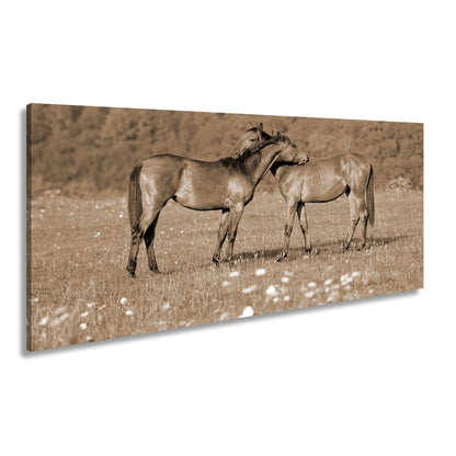 Leinwandbild Zärtliche Pferdeliebe in sommerlicher Wiesenruhe - deyoli
