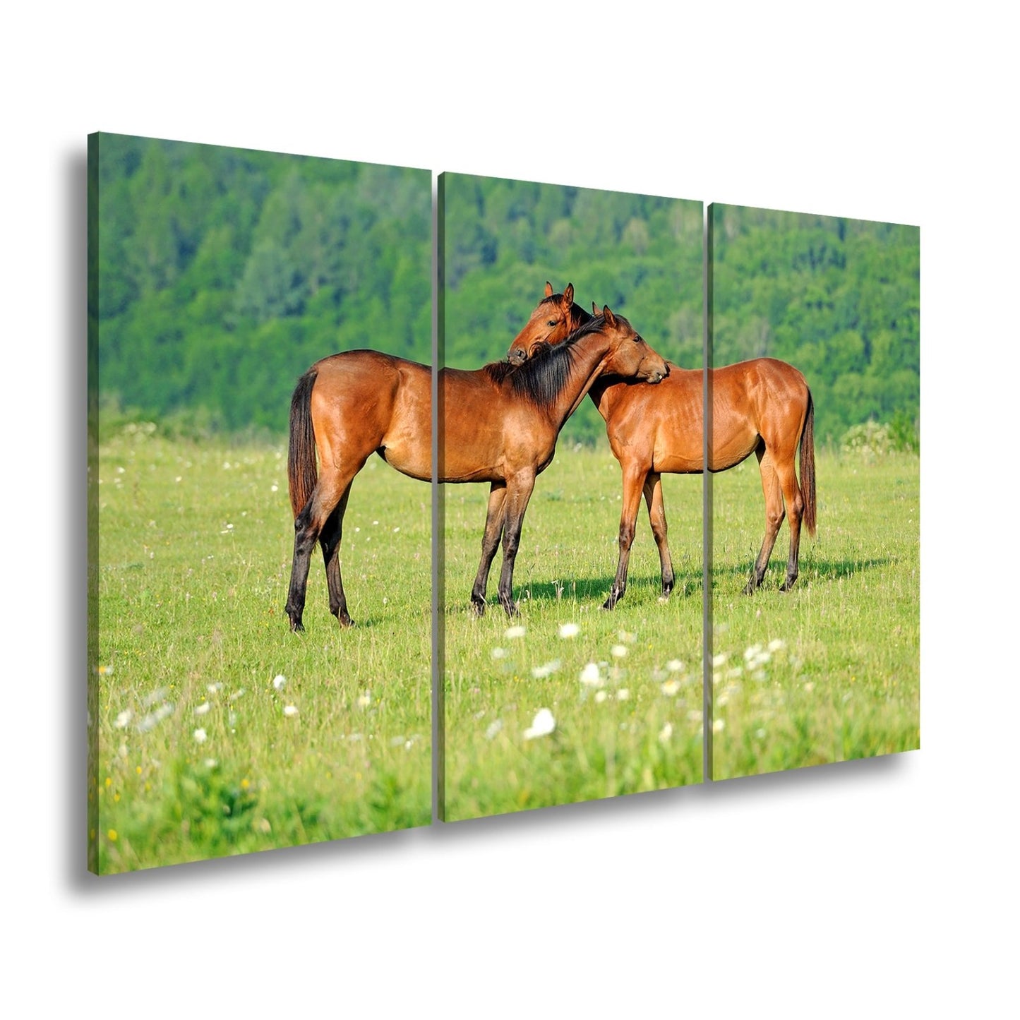 Leinwandbild Zärtliche Pferdeliebe in sommerlicher Wiesenruhe - deyoli