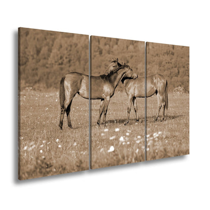 Leinwandbild Zärtliche Pferdeliebe in sommerlicher Wiesenruhe - deyoli