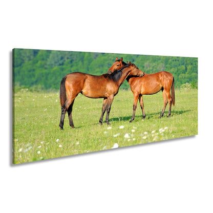 Leinwandbild Zärtliche Pferdeliebe in sommerlicher Wiesenruhe - deyoli