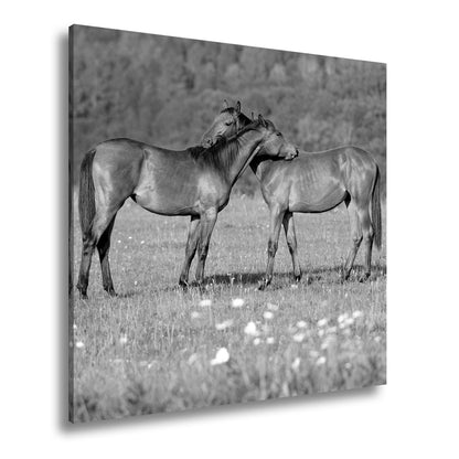 Leinwandbild Zärtliche Pferdeliebe in sommerlicher Wiesenruhe - deyoli