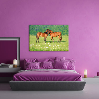 Leinwandbild Zärtliche Pferdeliebe in sommerlicher Wiesenruhe - deyoli