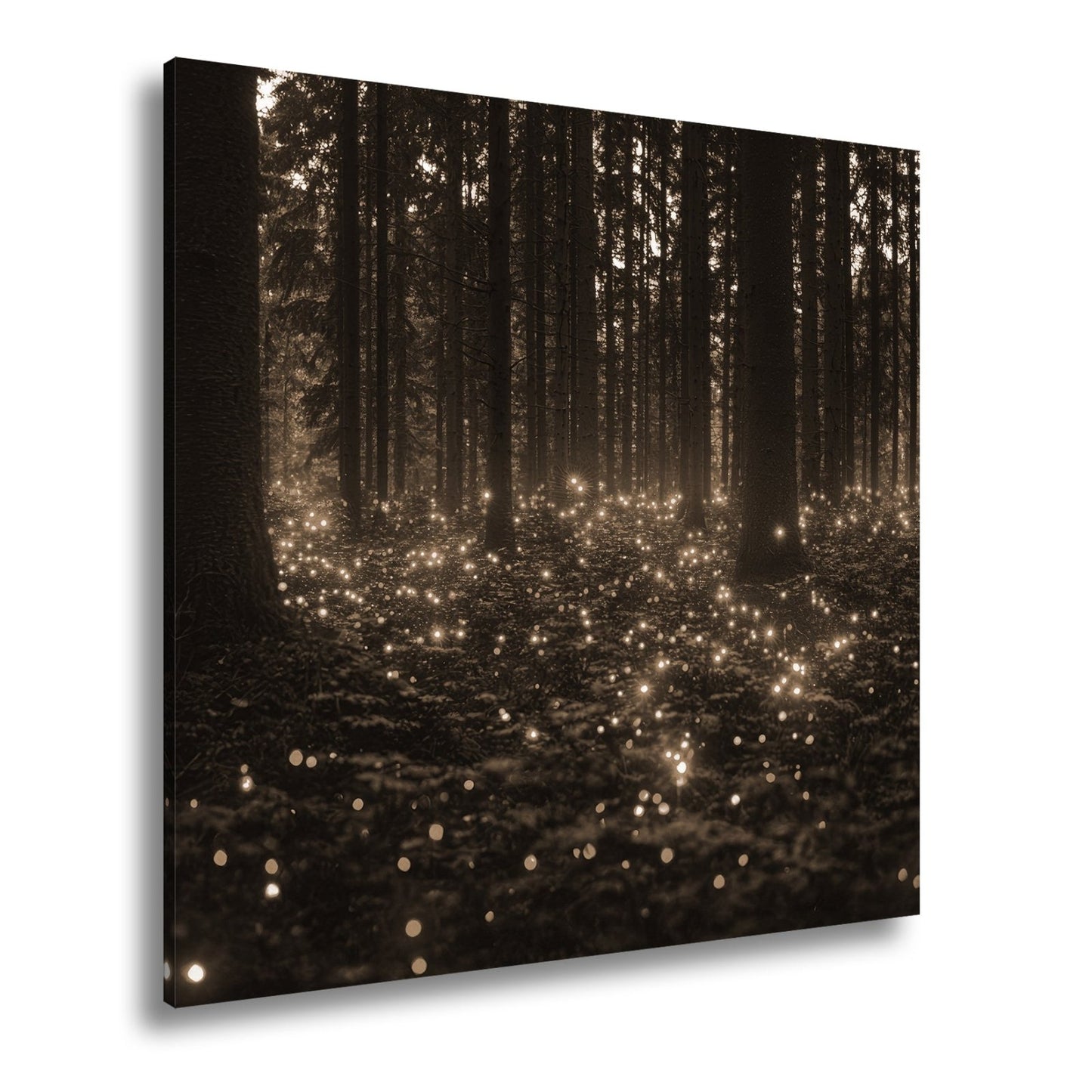 Leinwandbild Zauberwald XXL – Erleuchtet von tanzenden Lichtpunkten - deyoli