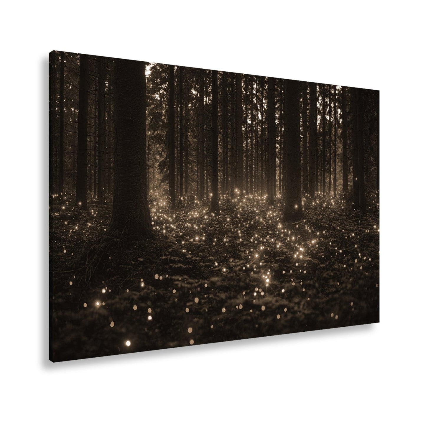 Leinwandbild Zauberwald XXL – Erleuchtet von tanzenden Lichtpunkten - deyoli